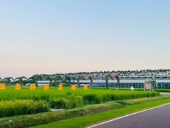 -迪茵湖田家舍生态农场