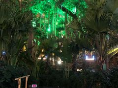-沈阳龙润夏宫温泉水乐园