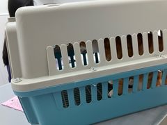 -宠物星动物医院·眼科·异宠·猫科(江南大道总院)