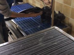 -嘟宝宠物生活馆(白桦林居店)