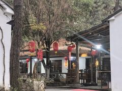 -小小饭店·休闲农庄·安吉松树林里的农家菜