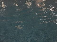 -百姓康洁洗浴中心