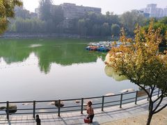 -莲湖公园