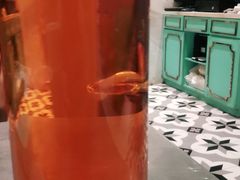 -姚姚酸菜鱼·金戈戈香港豉油鸡(喜荟城联名店)