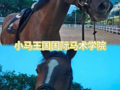 -超极限攀岩馆(六元素店)