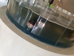 -渔歌子鱼头王(郑州总店)