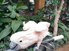 -南宫五洲植物乐园