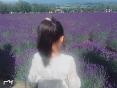 -富田农场