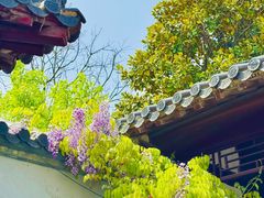 -四季轩中餐厅(徐州开元名都大酒店)
