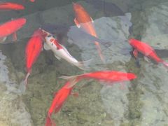 -泉乐坊步行街(烟酒特产平价超市店)