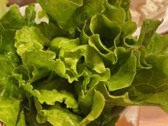 -颐辰舍岁岁羊(文昌万达景园店)