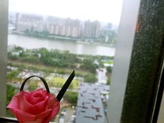 -广州富力丽思卡尔顿酒店