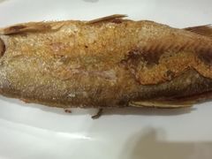-茶叶农家食府(旗舰店)
