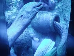 -太平洋海底世界