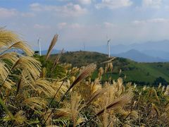 -东白山