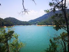 -广州市流溪河国家森林公园