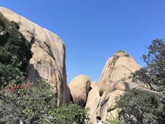 -嵖岈山风景区