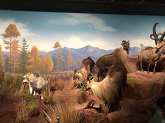 -陕西自然博物馆