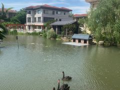 -常州武进九洲喜来登酒店