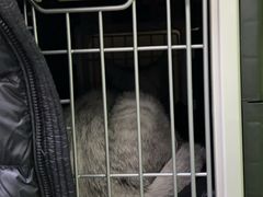 -美联众合动物医院·24h转诊中心