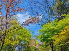 -临平公园(临平街道)