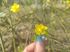 -白塘生态植物园