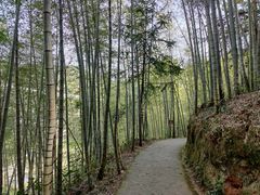 -千泷沟大瀑布旅游区