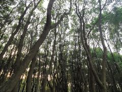 -同里国家湿地公园