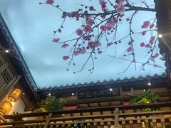 -丁里羊肉小镇(太宁路口店)
