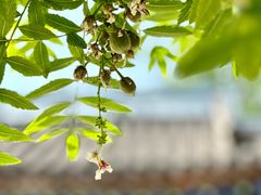 -北京石刻艺术博物馆