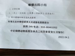 -喜多萌中农锦绣动物医院24H·猫科·牙科MRI·CT
