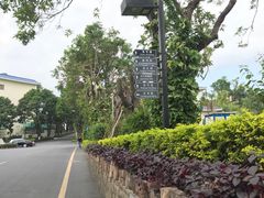 -厦门悦华酒店