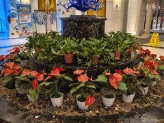 -郑州银基黄帝宫御温泉