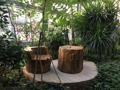 -国际安全防卫学院
