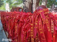 -向外鱼乐·土菜·虹鳟鱼