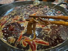 -肥龙火锅(南坪店)