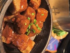 -甘家界牌柠檬鸭(青山店)