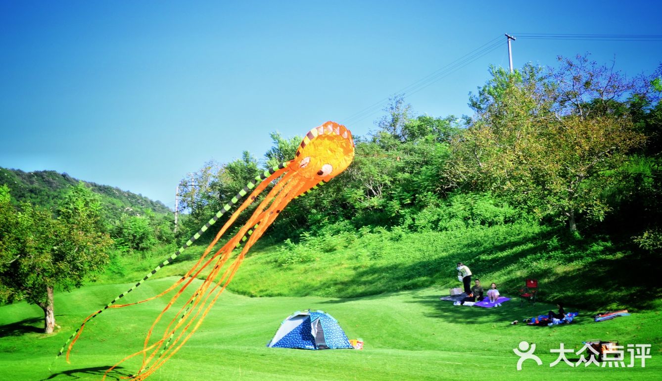 可以疯狂撒欢儿的大草坪，等你哦！