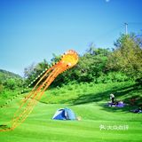 可以疯狂撒欢儿的大草坪，等你哦！