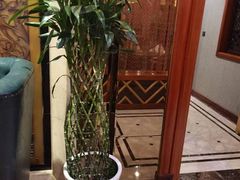 -花湖会所·高端水疗商务泡浴SPA(高新店)