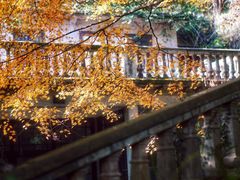 -北山街历史文化街区