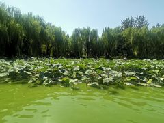 -团结湖公园