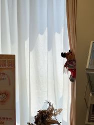 -四七美学·半永久纹眉