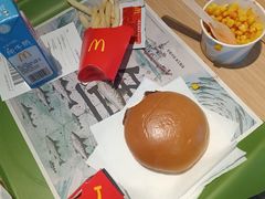 -麦当劳(红旗路店)