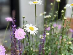 -国贸中心·国贸大厦三期