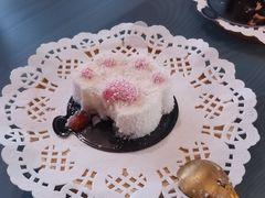 -喵屿·大理花园猫咖