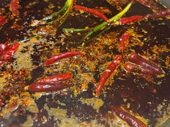 -杨肥肠火锅大排档(火车站花园店)