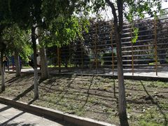 -黑龙江大学