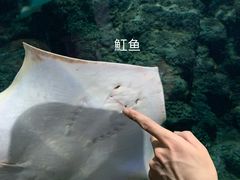 -郑州海洋馆