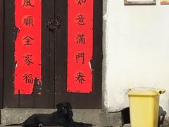 门面-芦茨金富饭庄·25年老字号·专做稻草鸡